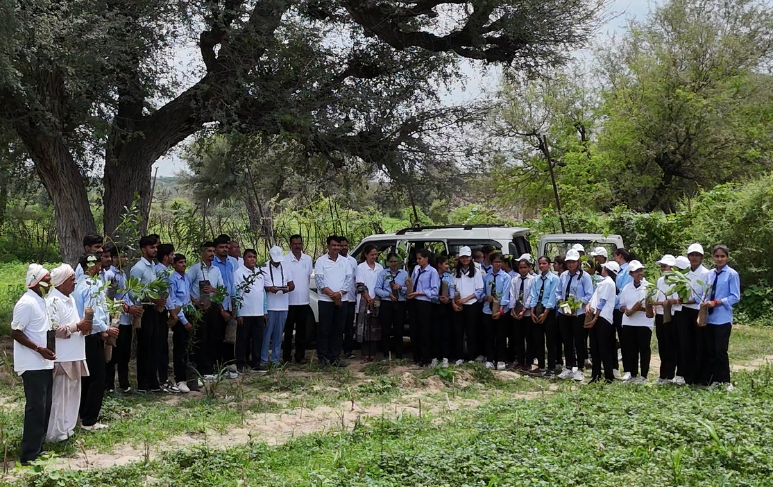 Environment & Plantation