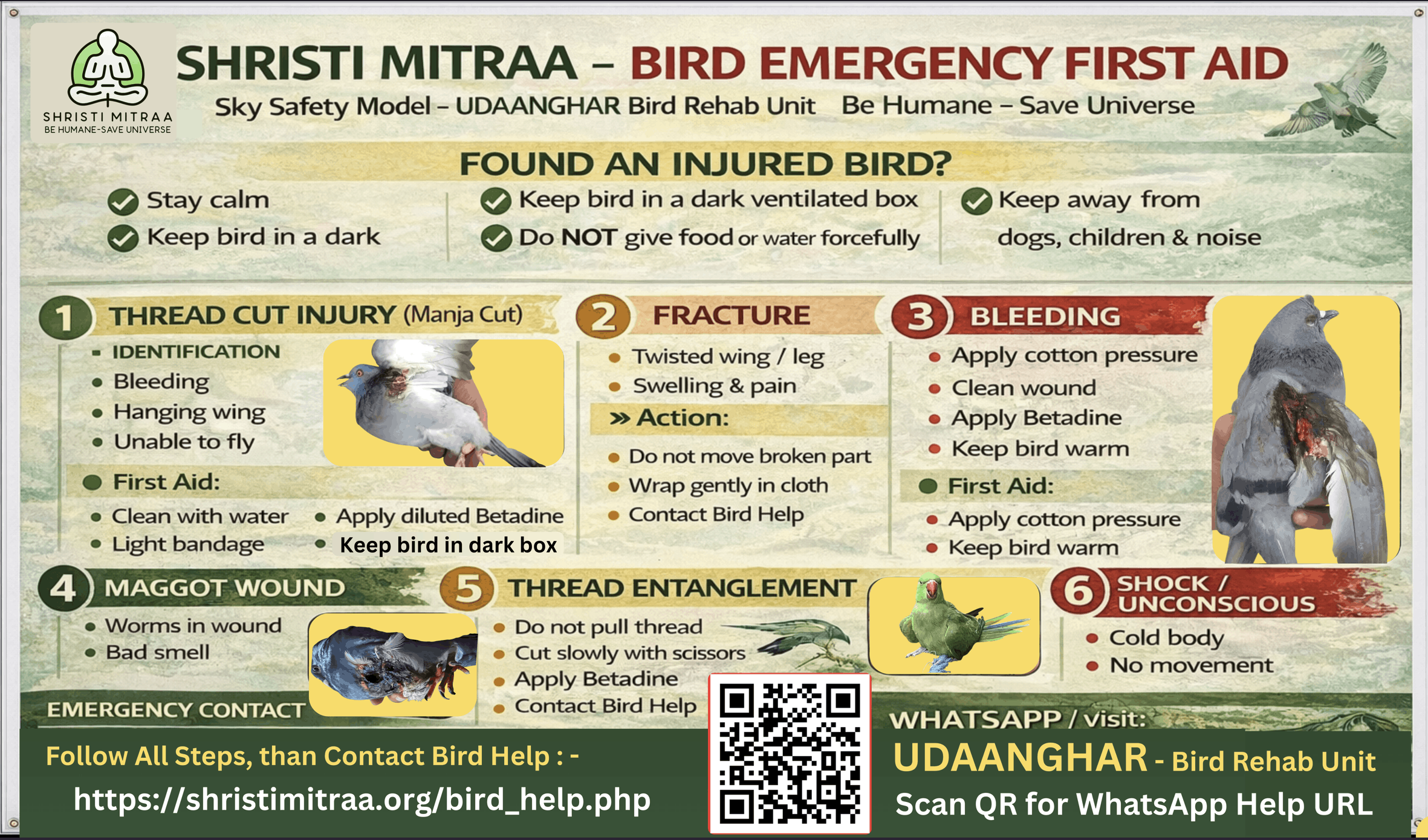 Shristi Mitraa Bird Emergency First Aid Poster