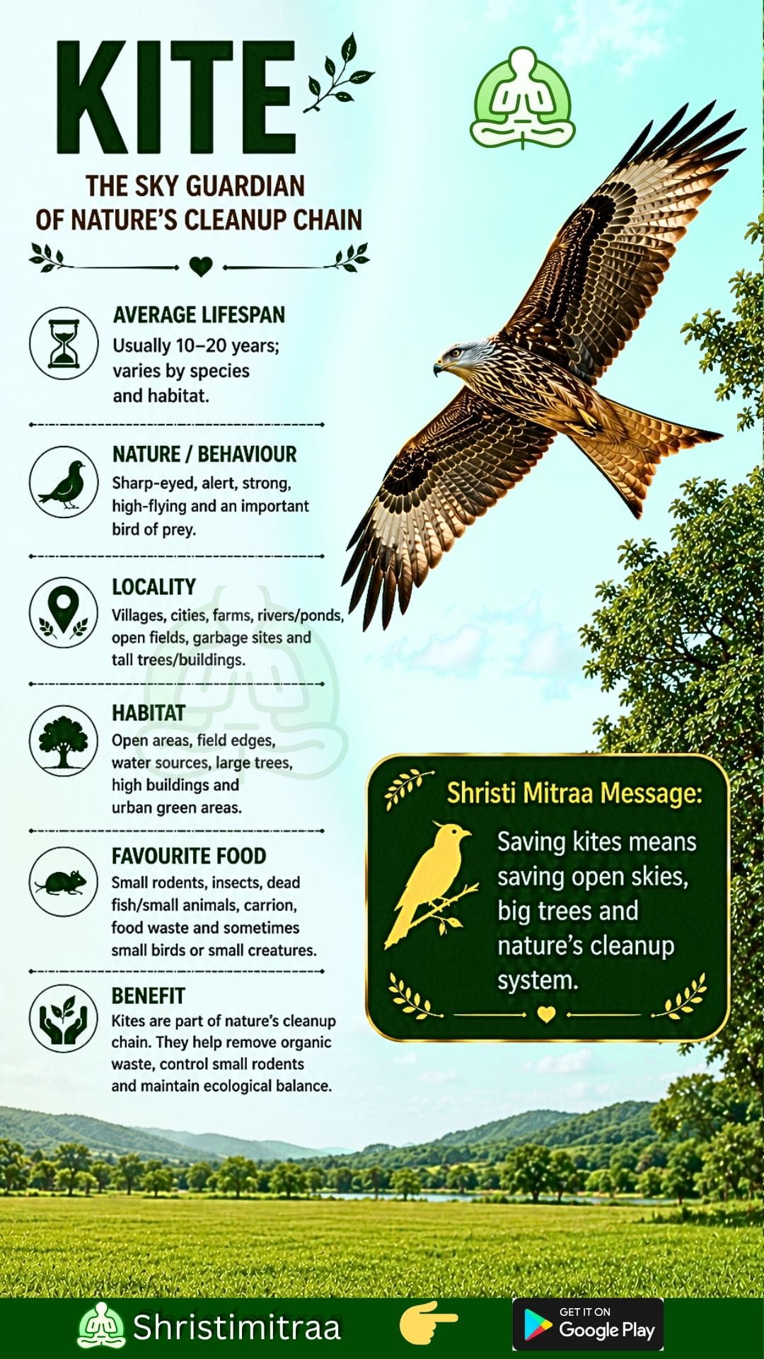Eagle