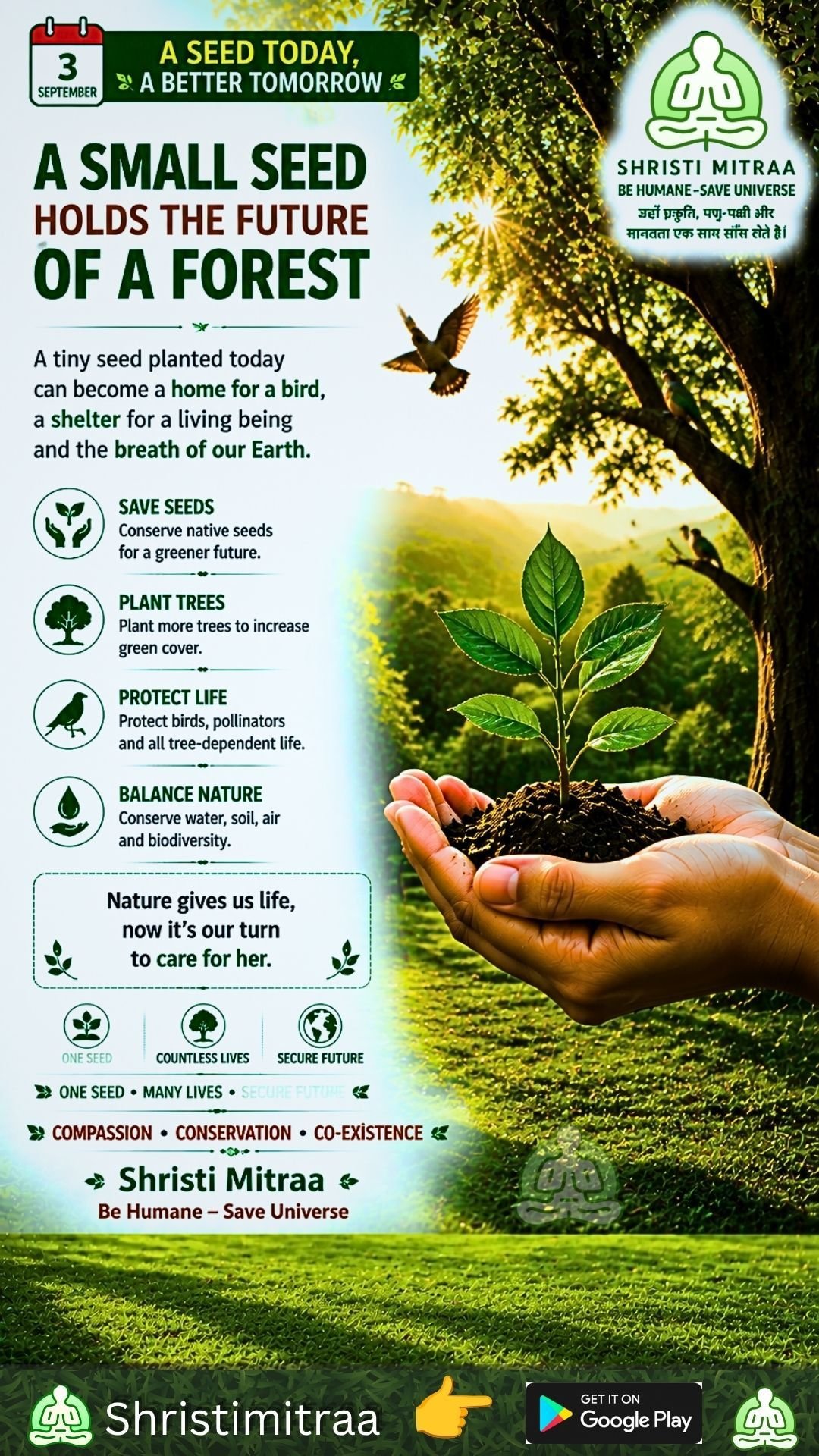 The future of the forest is hidden in a seed