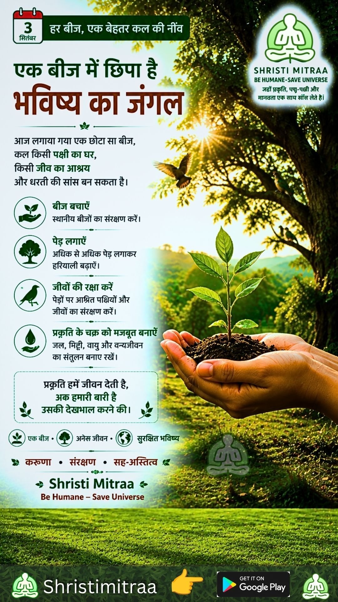 एक बीज में छिपा है भविष्य का जंगल