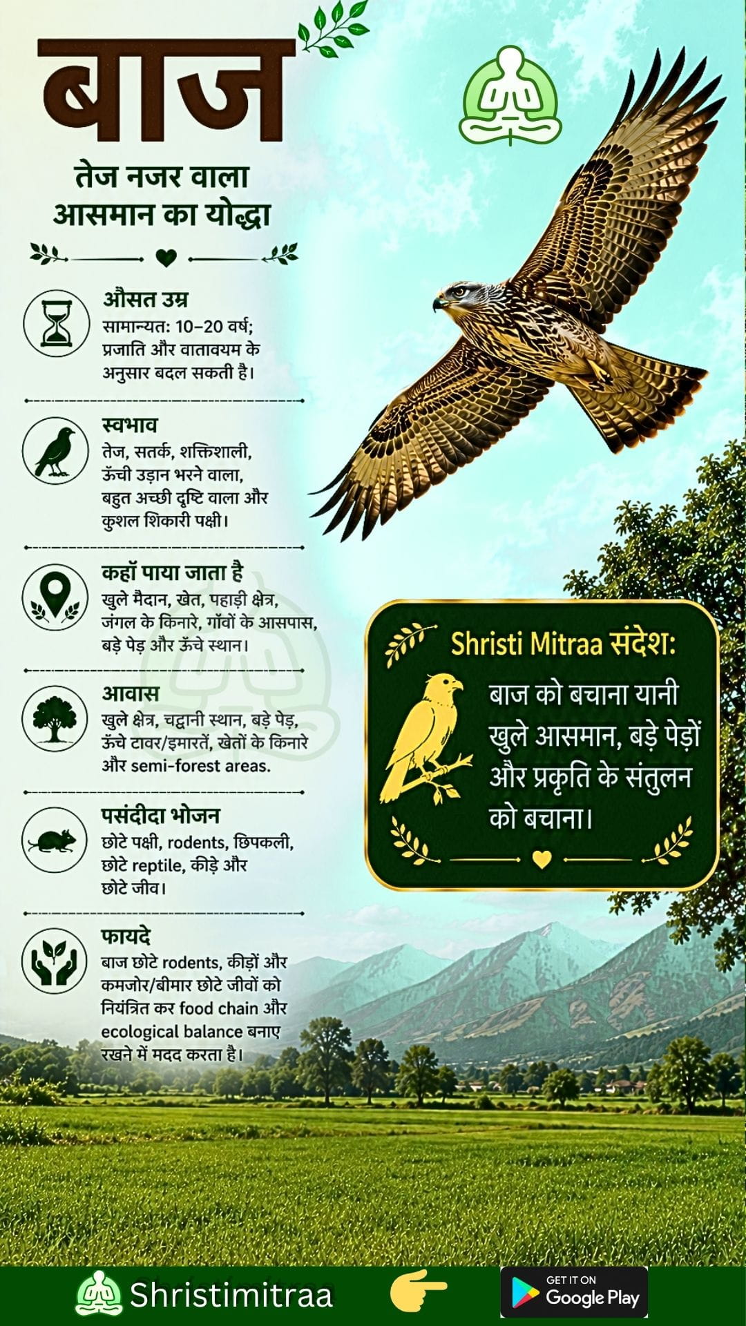 बाज