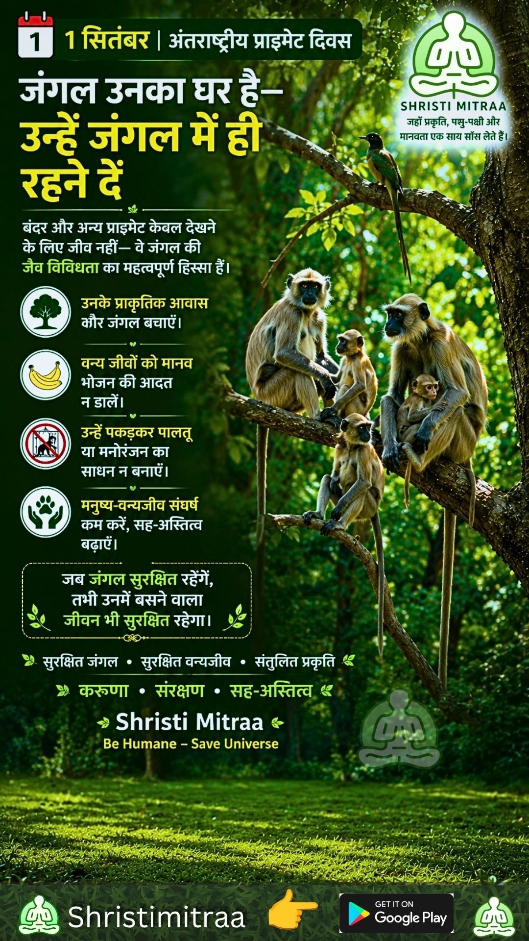 1 सितंबर | अंतरराष्ट्रीय प्राइमेट दिवस