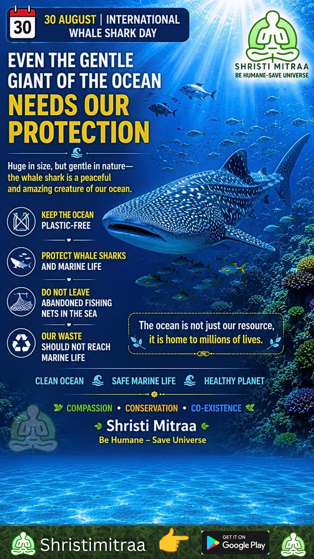August 30 – International Whale Shark Day