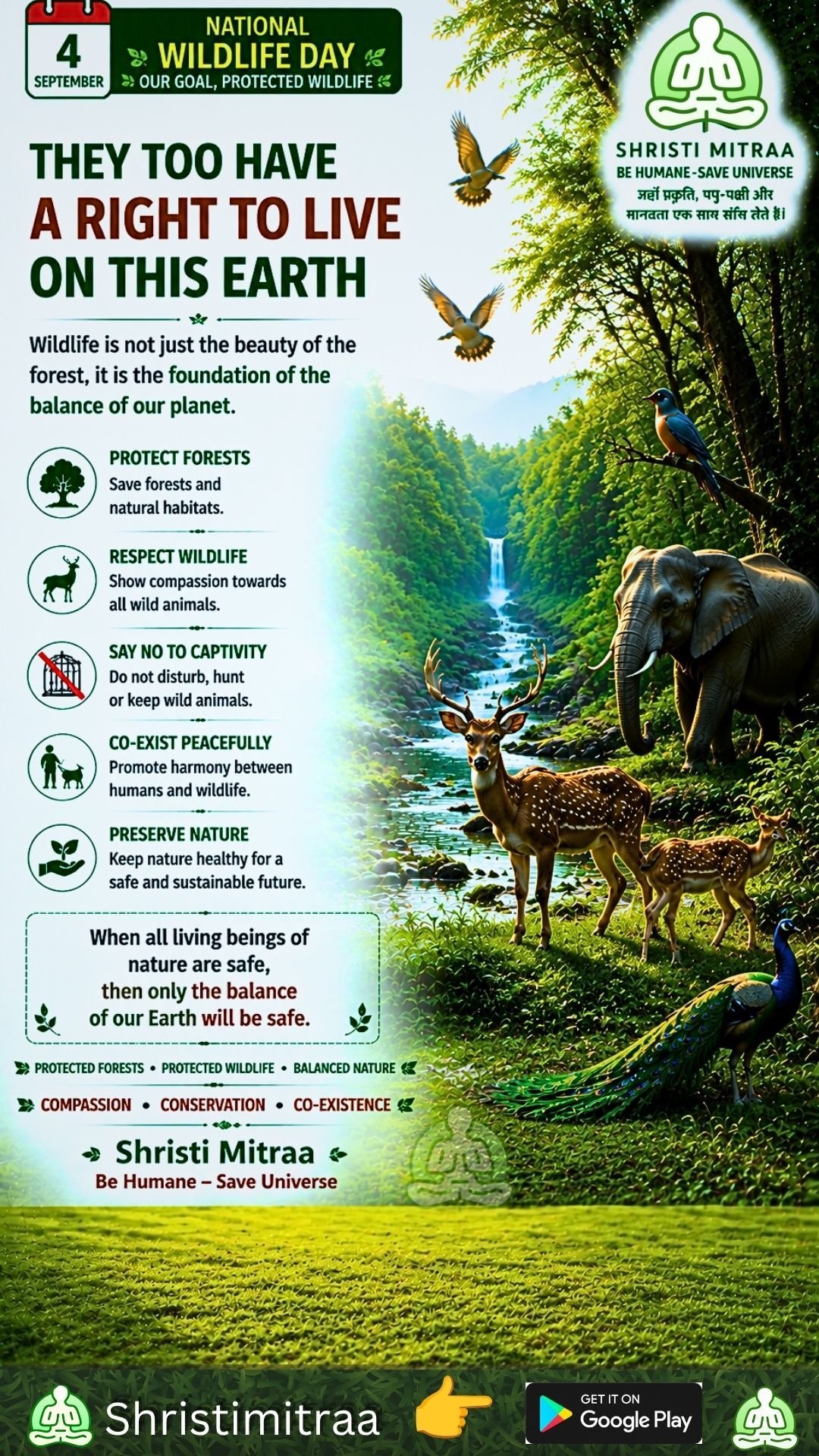 🐾 September 4 | National Wildlife Day