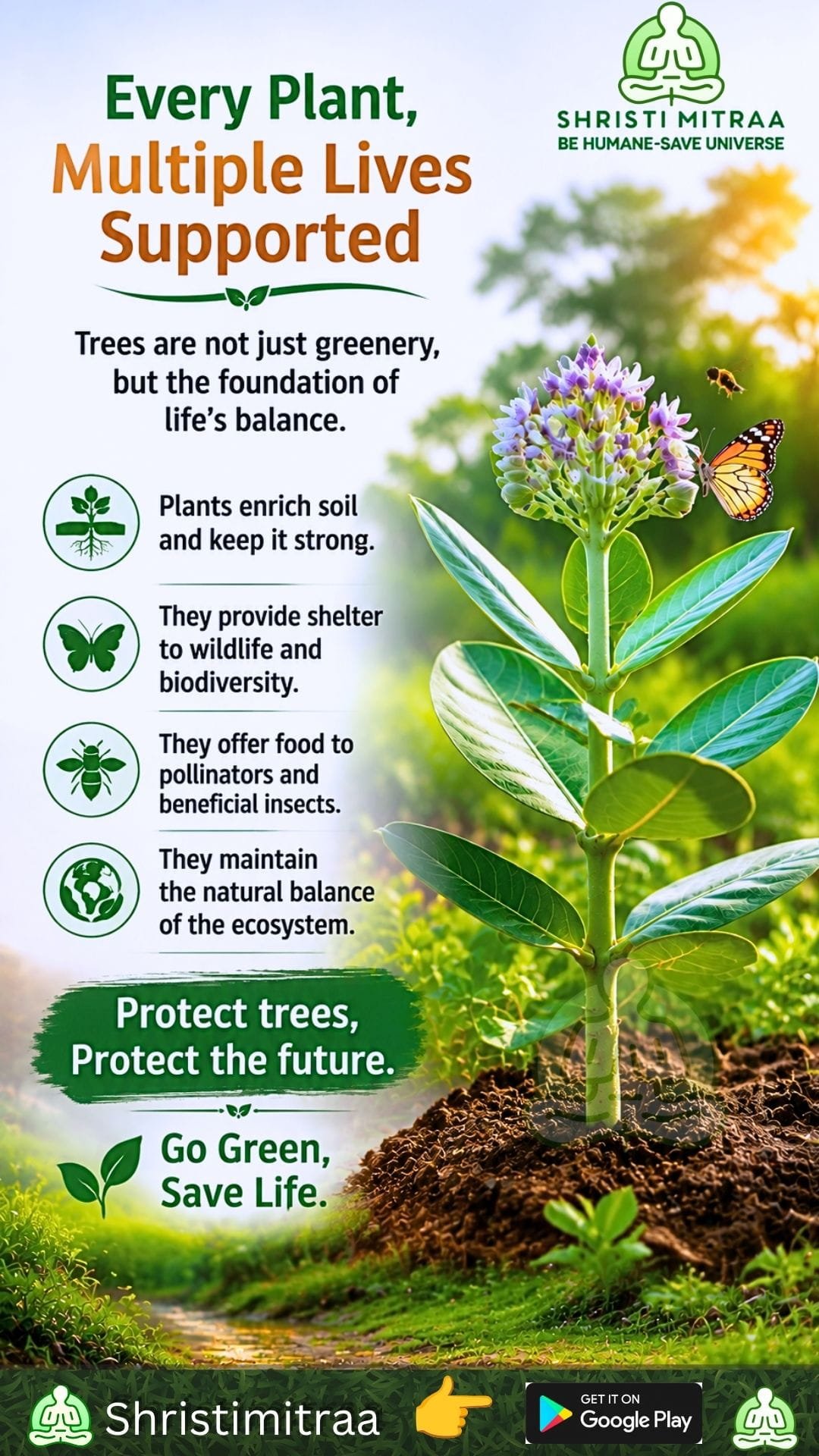 One plant, the source of many lives