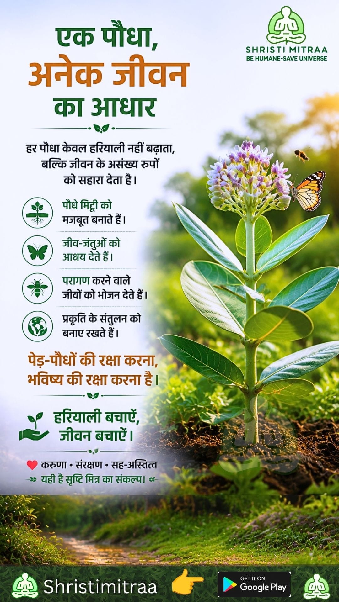 एक पौधा, अनेक जीवन का आधार