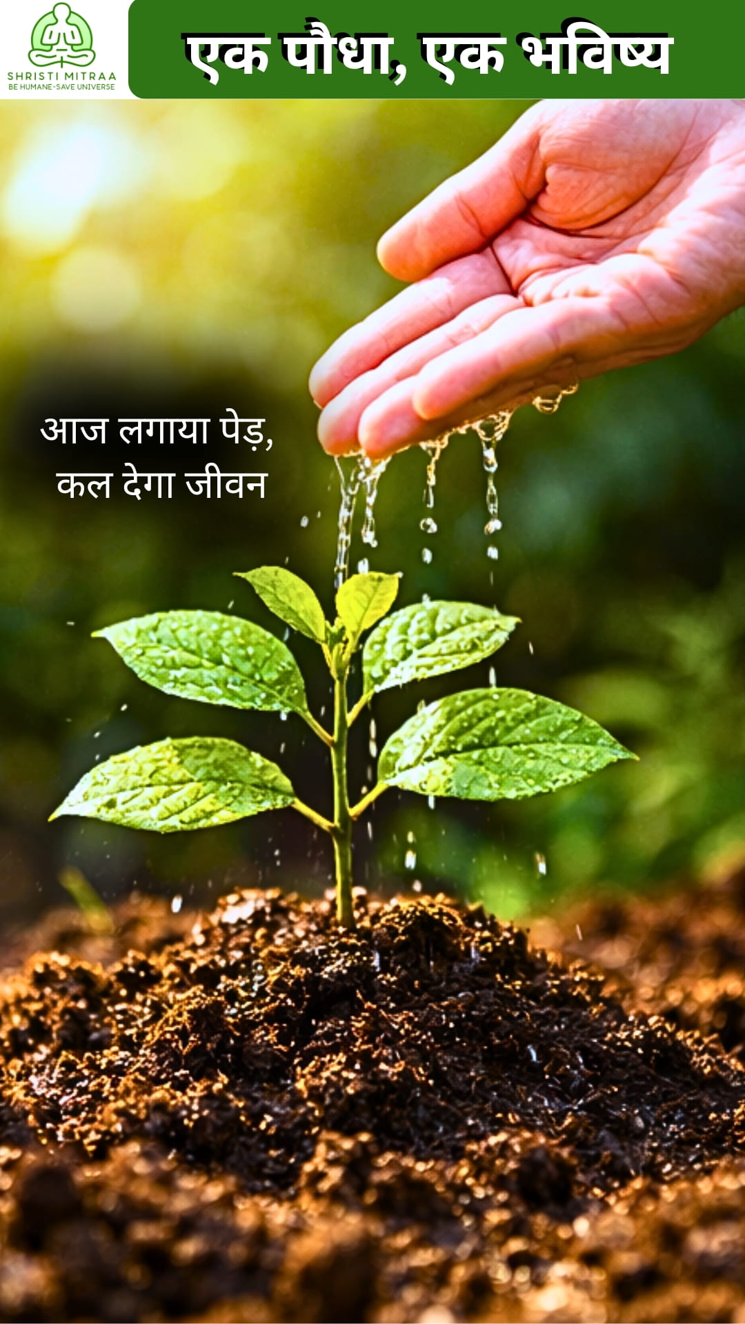 पेड़ लगाओ