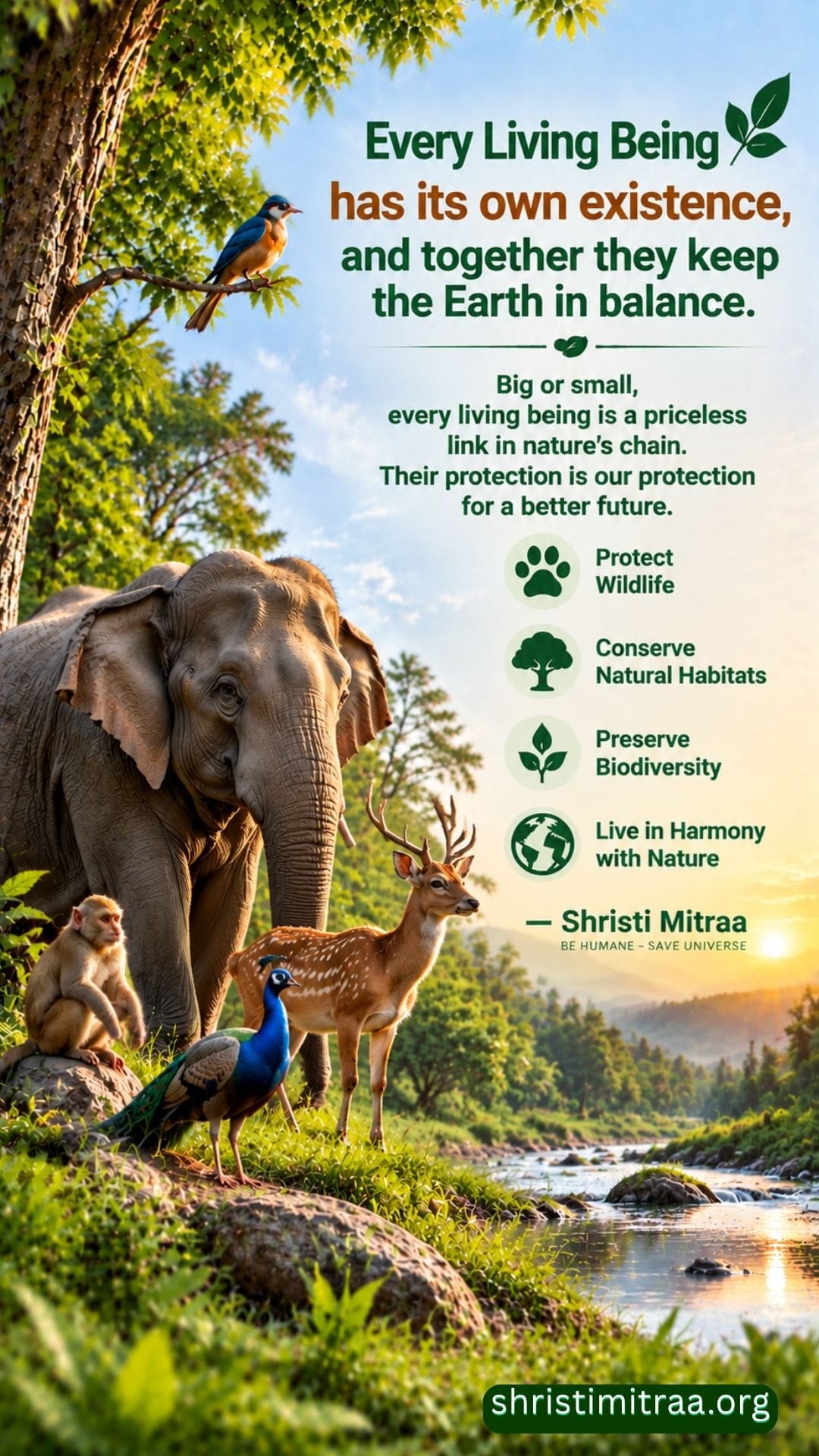 Protecting wildlife, protecting biodiversity