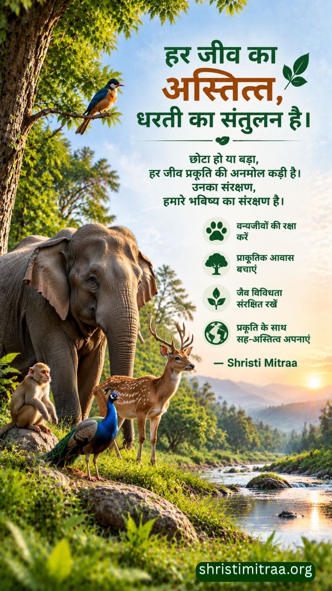 वन्यजीवों की रक्षा, जैव विविधता की सुरक्षा