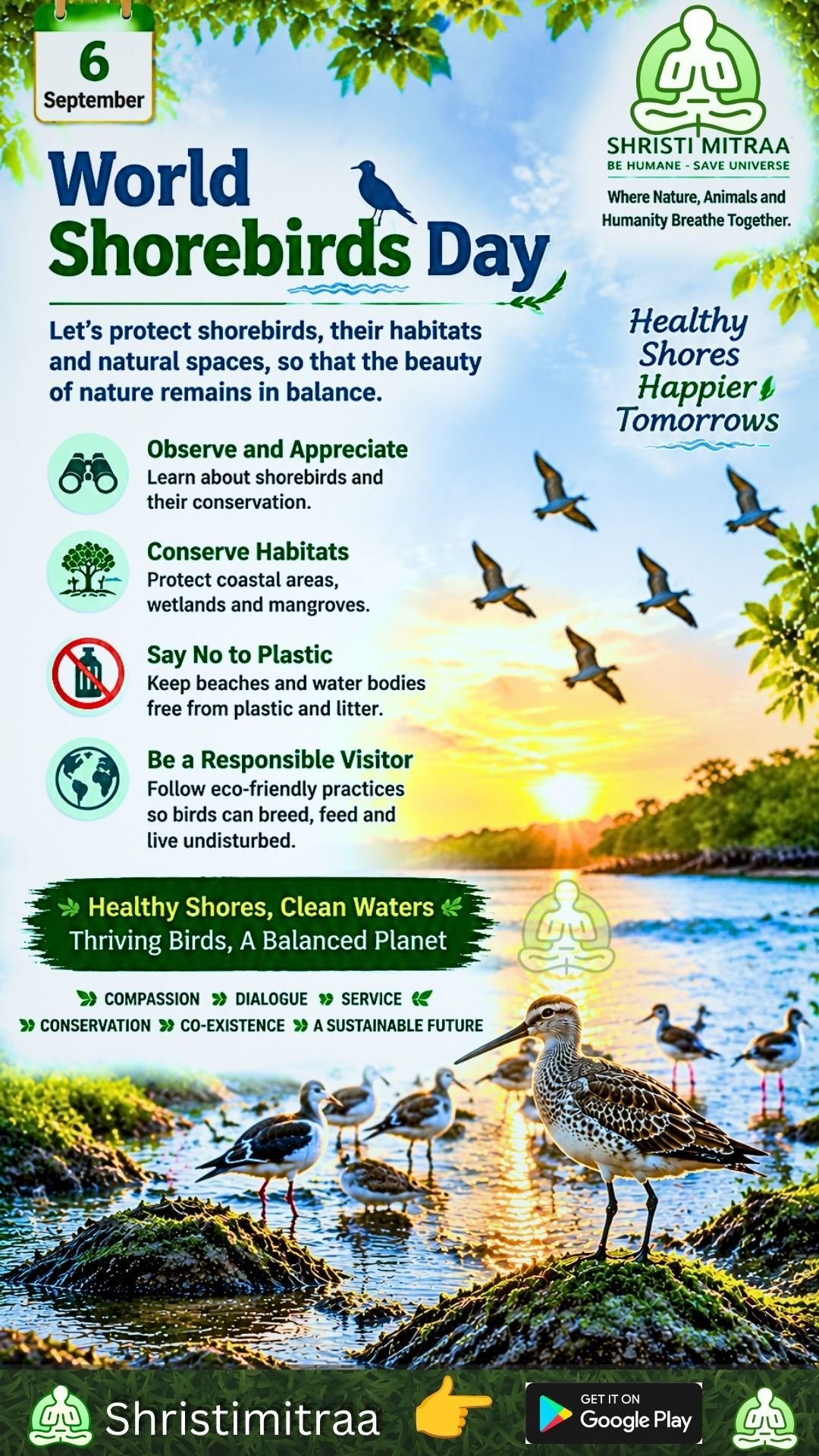 September 6 – World Shorebird Day