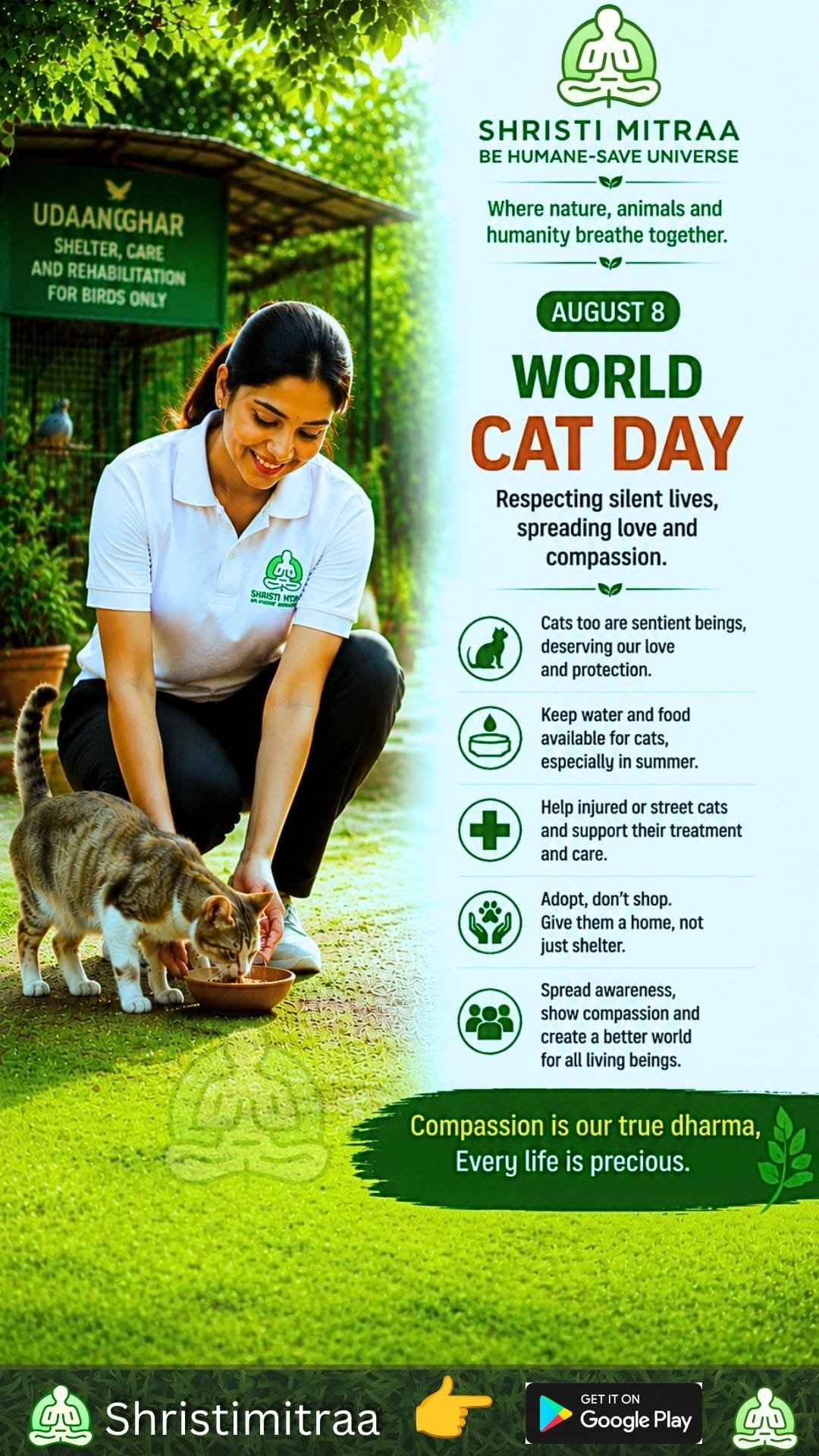 August 8 – World Cat Day