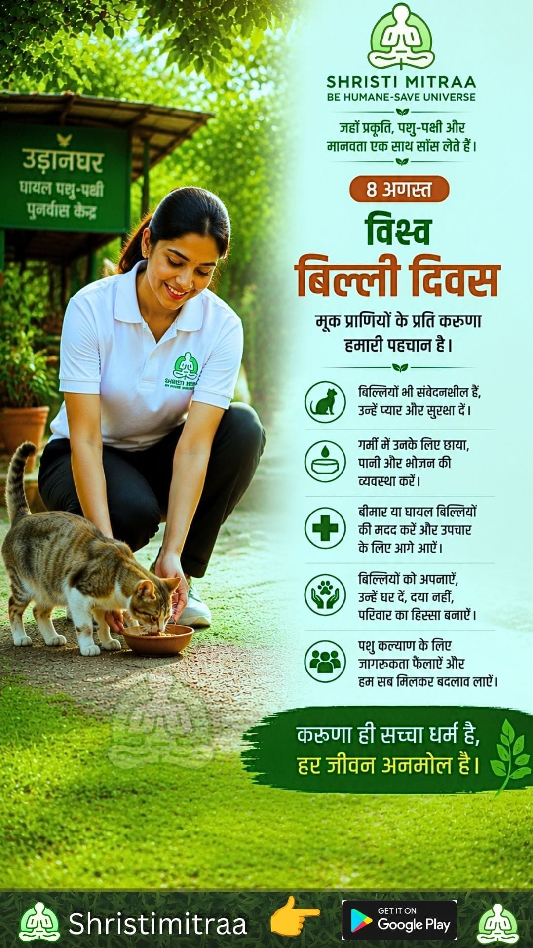 8 अगस्त - विश्व बिल्ली दिवस
