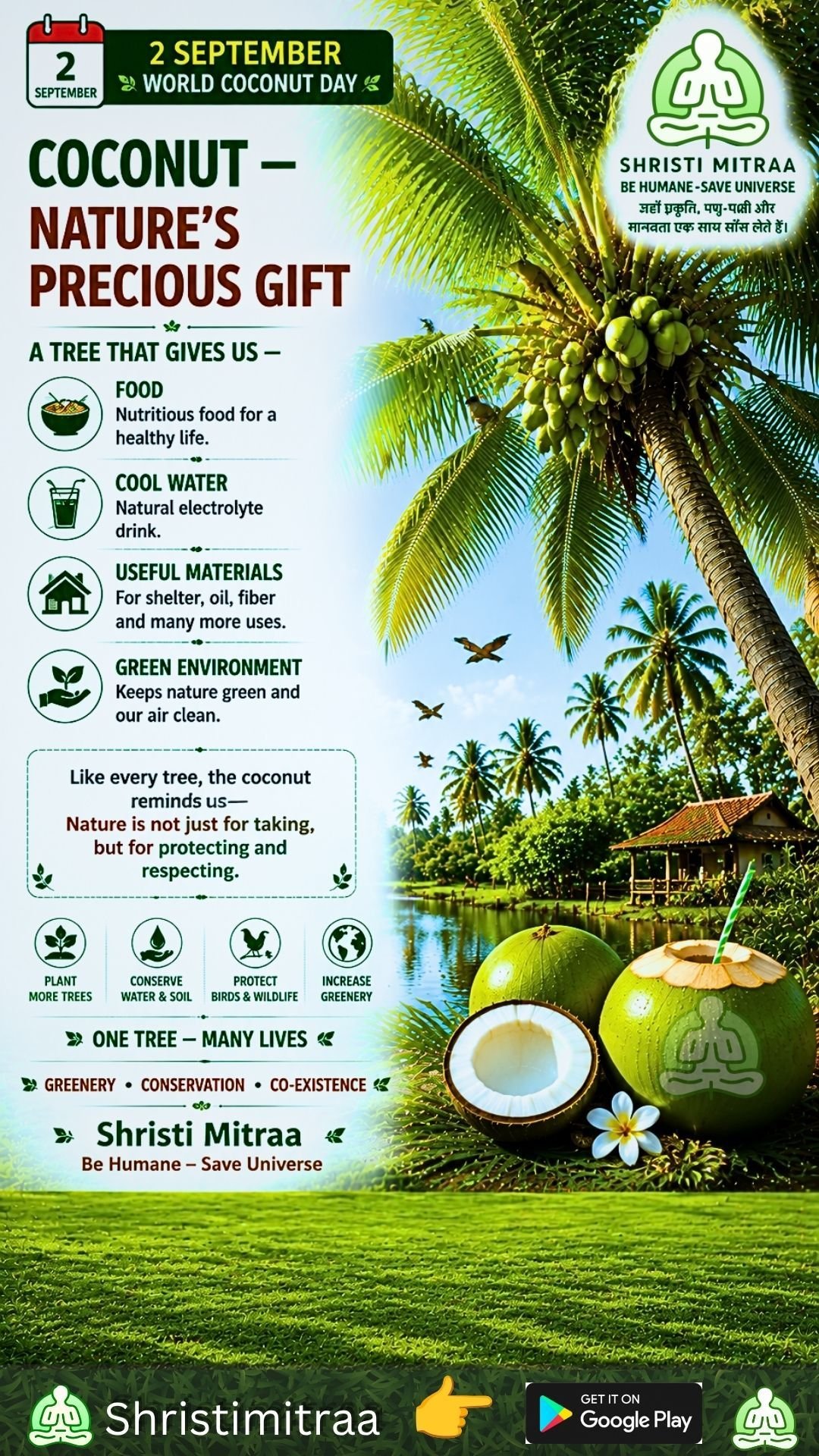 🌴 September 2 | World Coconut Day